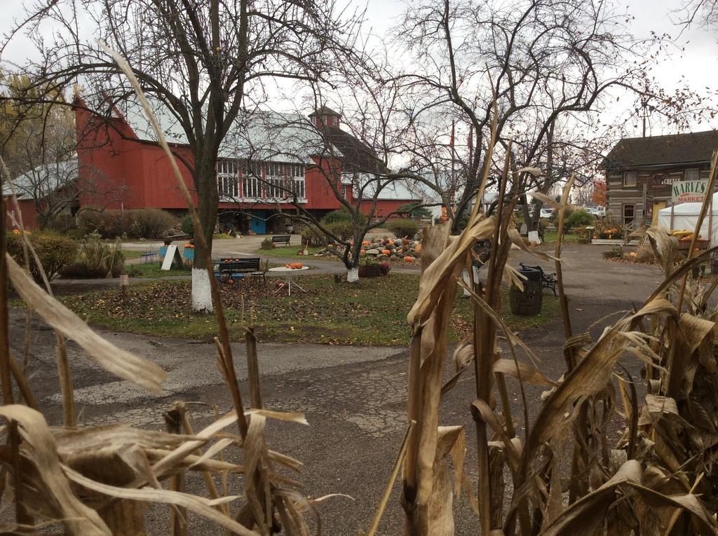 Countryside Inn Nappanee Esterno foto
