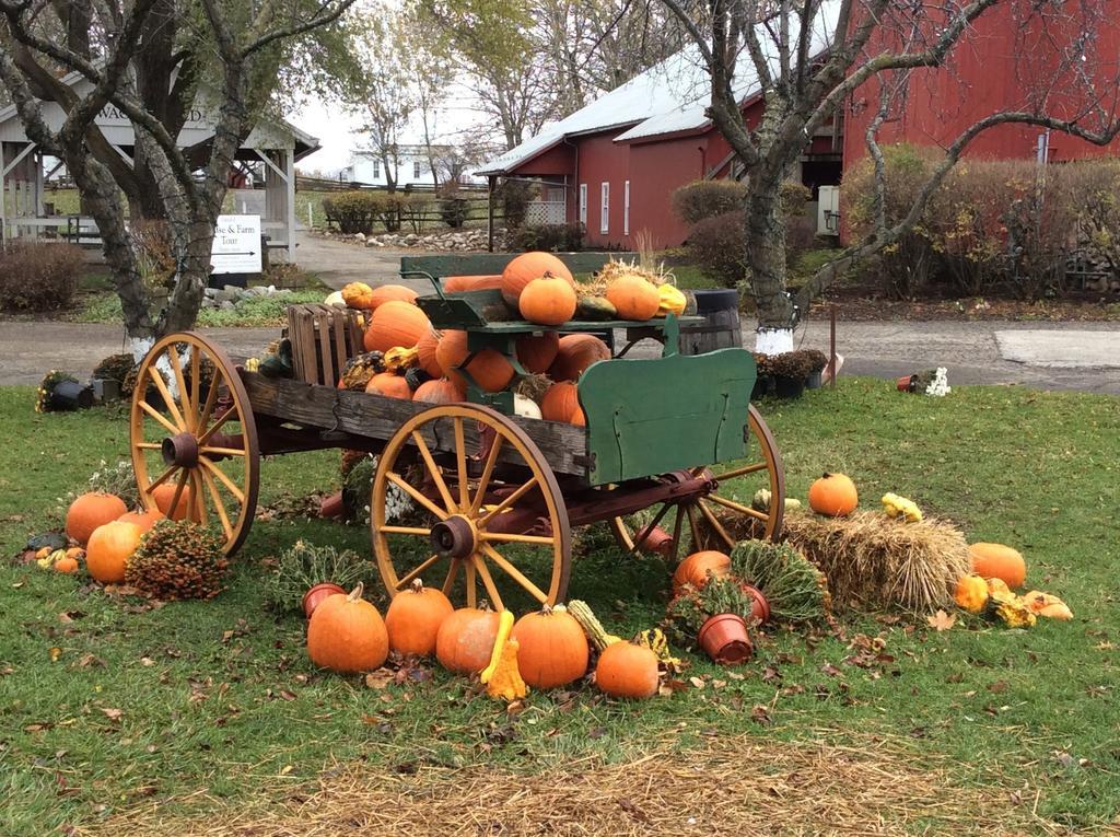 Countryside Inn Nappanee Esterno foto